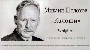 Михаил Шолохов "Калоши" - аудиокнига.