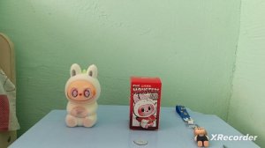 Моё знакомство с лабубу