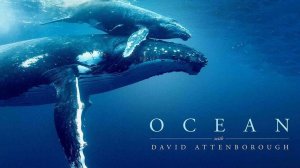 Дэвид Аттенборо: Океан (2025) | Ocean with David Attenborough