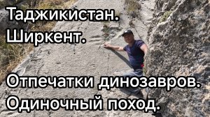 Таджикистан. Ширкент. Отпечатки динозавров. Одиночный поход.