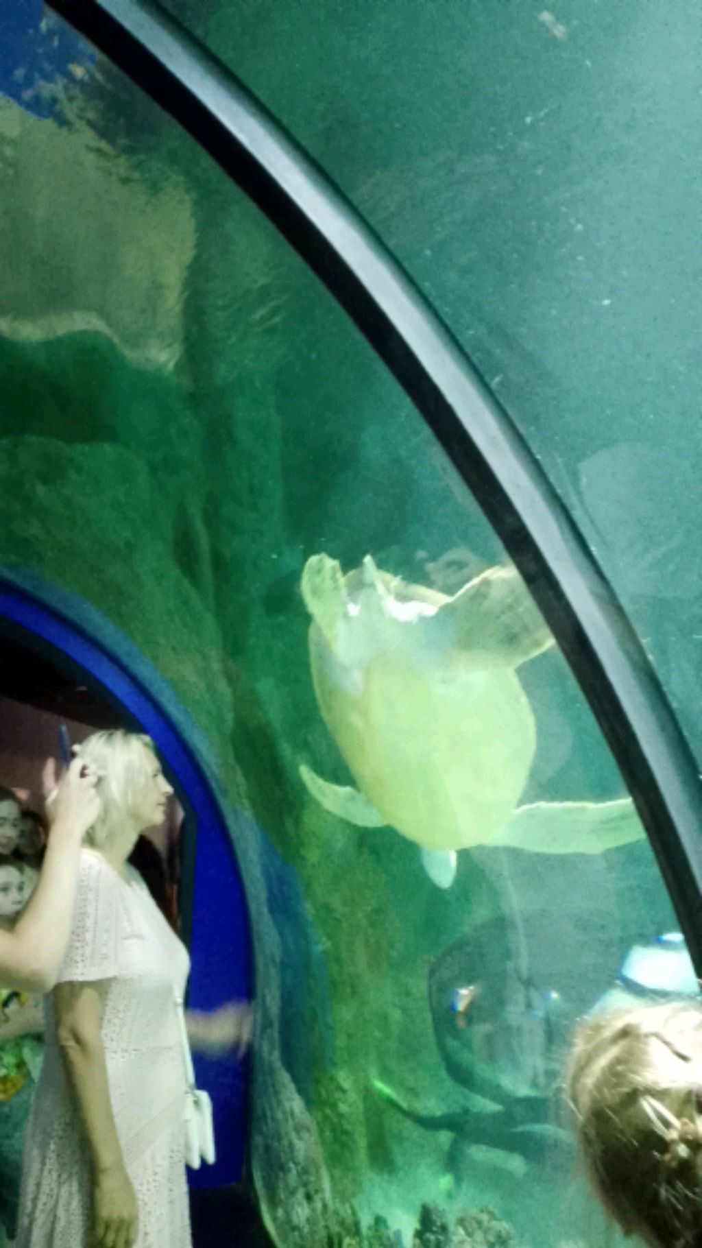 выполняю родительский челлендж смотреть онлайн