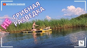 Не грибная разведка 26 июля 2025 Гатчинский район