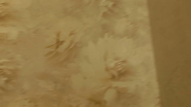 выбираем обои в Лемана Про смотреть онлайн