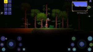 КАК ПОЛУЧИТЬ ЛЕТАЮЩИЙ МАУТ ПЧЕЛА В ИГРЕ ТЕРРАРИЯ?