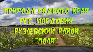 Природа родного края. рес. Мордовия Рузаевский район. «Поля».