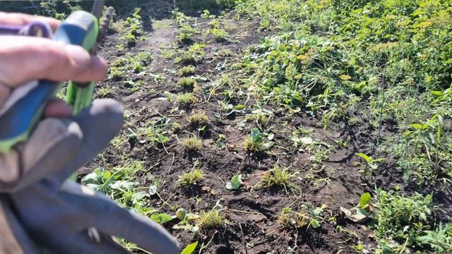 Один день в селе/ как прошёл денёк в деревне смотреть онлайн