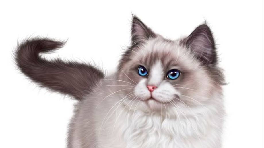 Кошка, гуляющая сама по себе смотреть онлайн