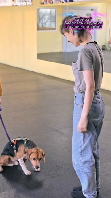 🎁Бесплатные уроки. Жми сюда! смотреть онлайн