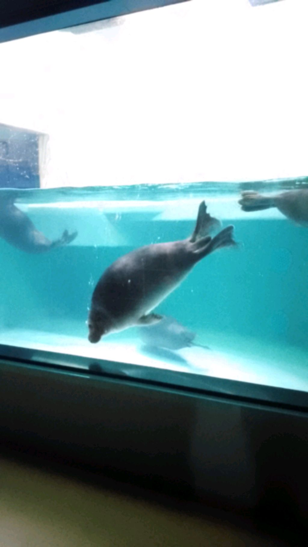 я сделала задание смотреть онлайн