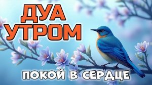 😌ДУА ДЛЯ УМИРОТВОРЕНИЯ СЕРДЦА! 🤲❤️