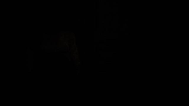 DreadOut 2 Нини Тетти Оказалась Ведьма Запутанный Лес Темный #16