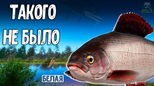 RF4 такого еще у нас не было и вот что вышло из этого #рр4