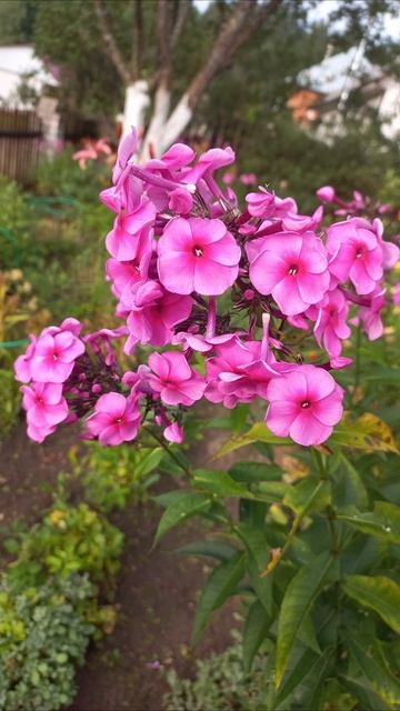 #выходныевгостяхуродителей#