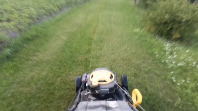 КАК ВЫБРАТЬ ГАЗОНОКОСИЛКУ | ГАЗОНОКОСИЛКА ДЛЯ ОГОРОДА И САДА | ТЕСТ КОСИЛКИ | ТРАВА | КОСИМ часть 2