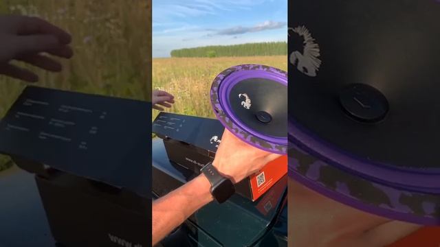 Замена штатных динамиков в Niva Urban на Dl Audio Piranha 200 V.2