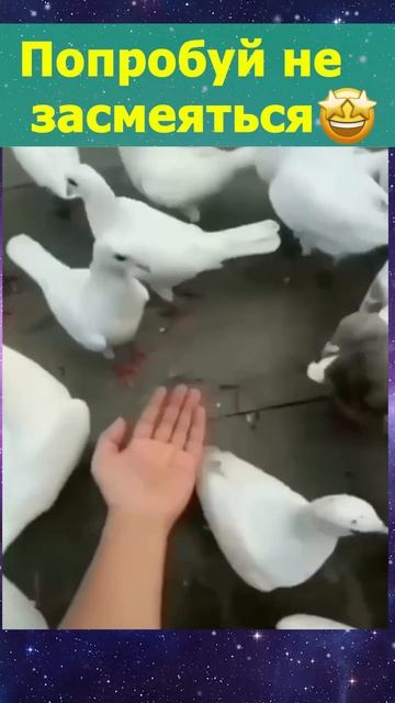 У меня куча дел.. смотреть онлайн