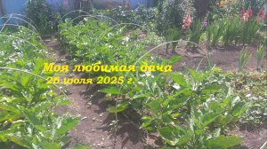 26.07.2025 _ Моя любимая дача