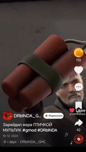 зарейдер мэр птичка