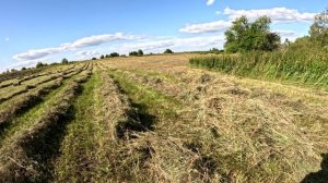 Снова с Витьком в работе Сенокос 20925