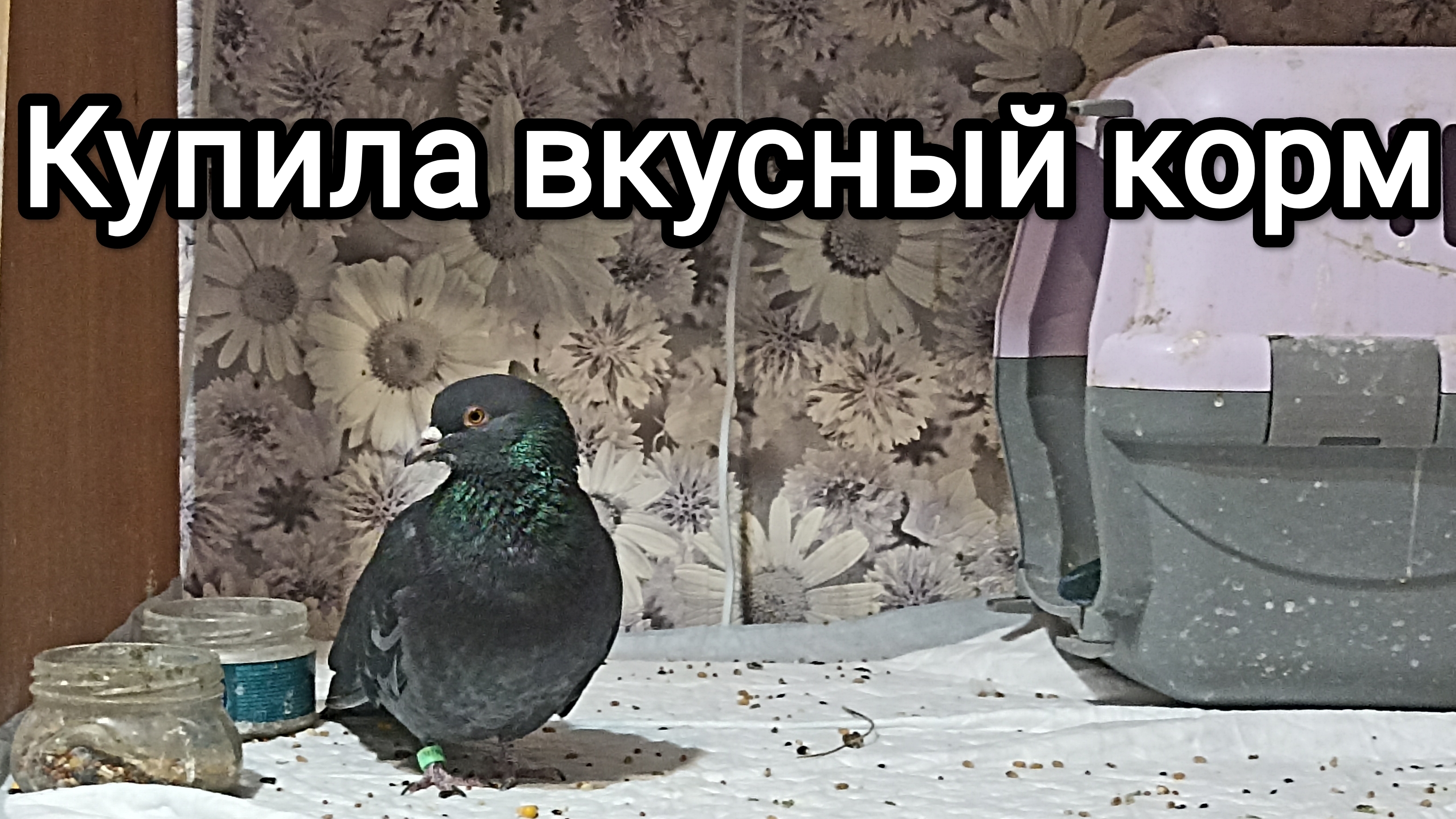 27-07-2025. Короткое включение.