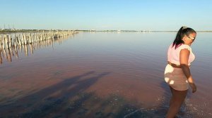 Сакское озеро 26.07.2025