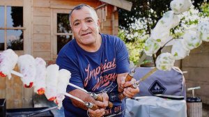 Фаршированные перцы с мясом и печенью на шампурах на мангале