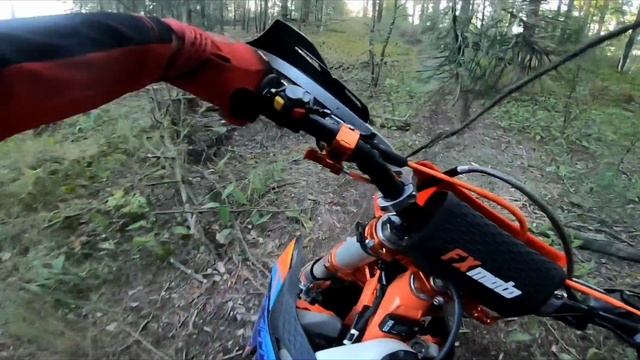 Отжимание в лесу)) смотреть онлайн