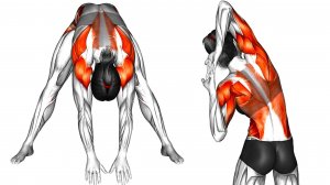 8-минутные лучшие упражнения для разминки дома