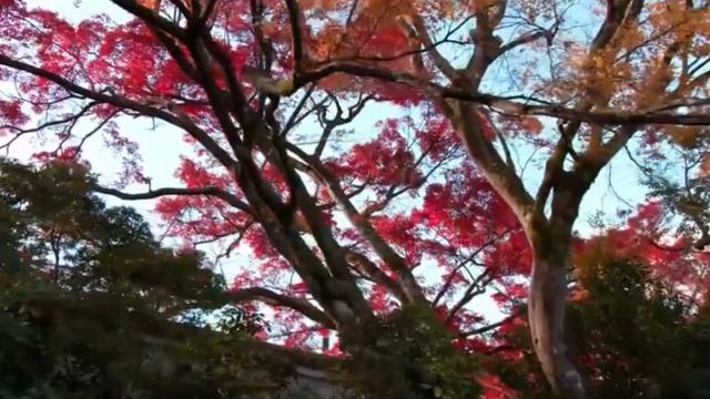 Кино апрель смотреть онлайн