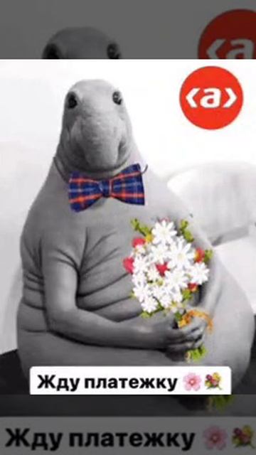 Знает что ее ждёт гиф Знает что ее ждёт гиф