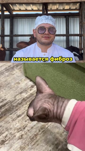 Продолжаем рубрику ответов на ваши вопросы