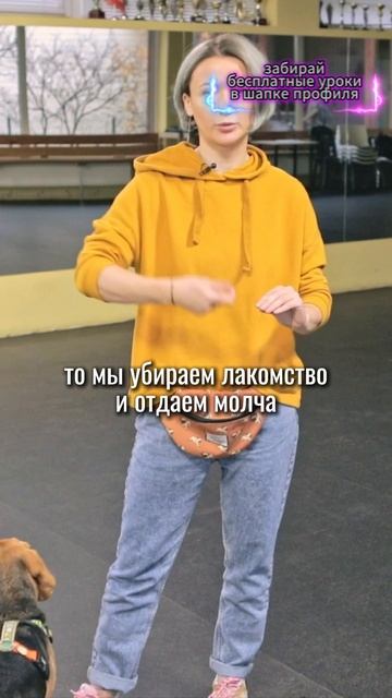 🎁Бесплатные уроки. Жми сюда! смотреть онлайн