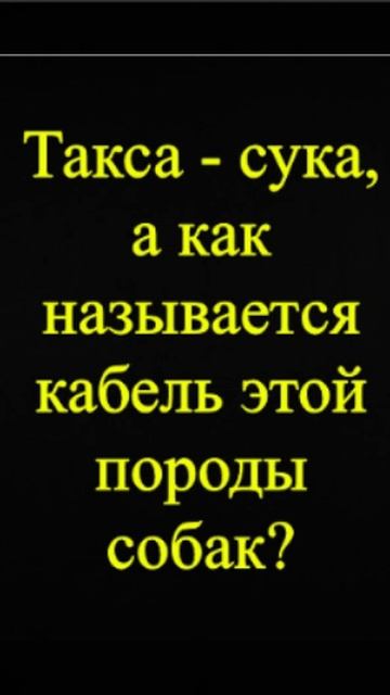 Мозгоправ самоубился. Книга первая. Вопрос 99