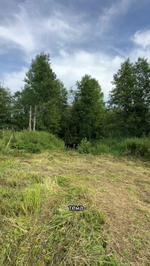 Ремонт в заброшенном доме на хуторе своими руками 24.07. 

Мой телеграм канал- Марадуда.