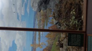 Музей Ильменского заповедника 3-3