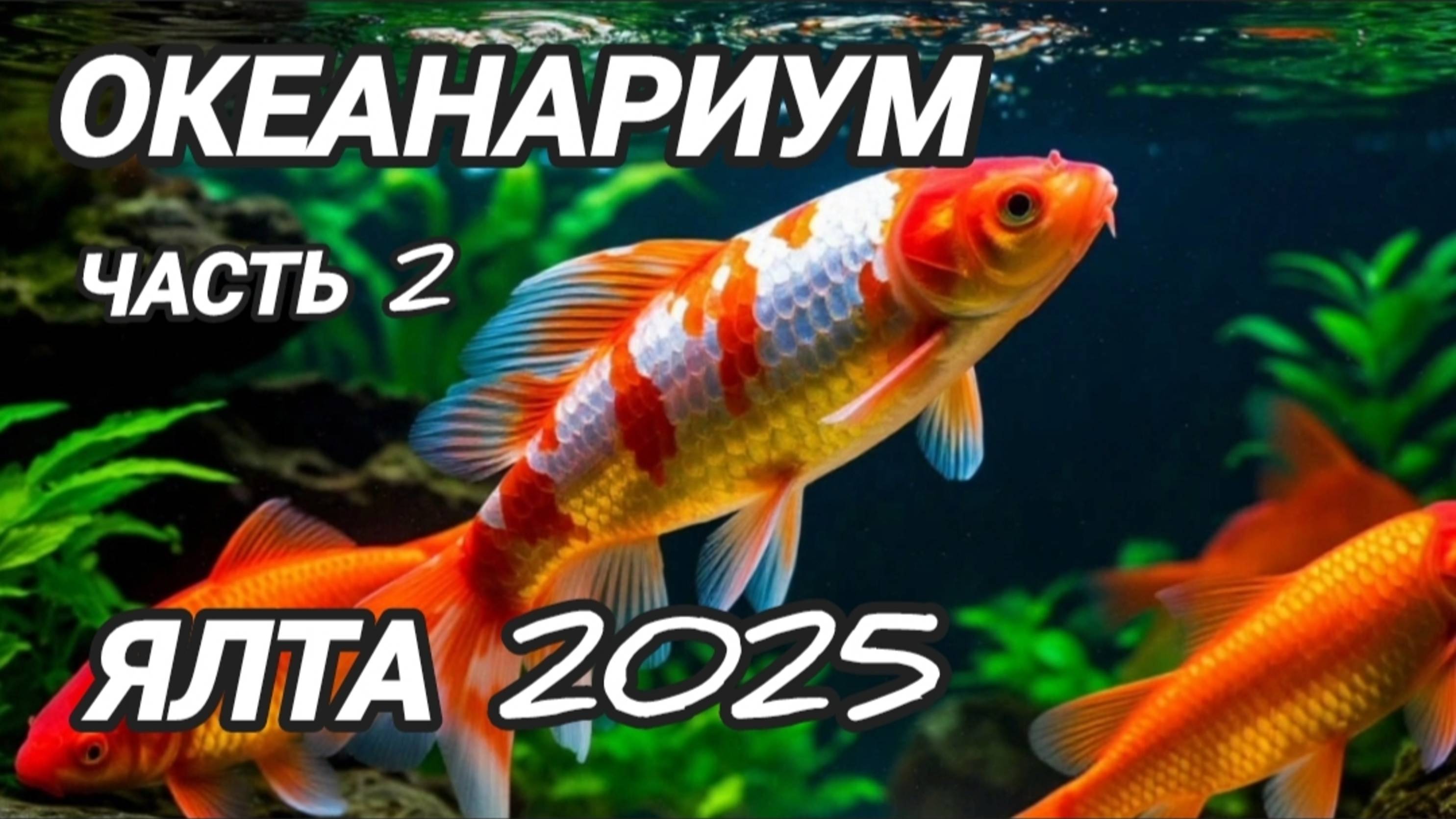 Крым 2025 | Ялтинский океанариум смотреть онлайн