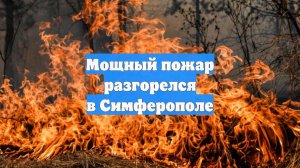 Мощный пожар разгорелся в Симферополе
