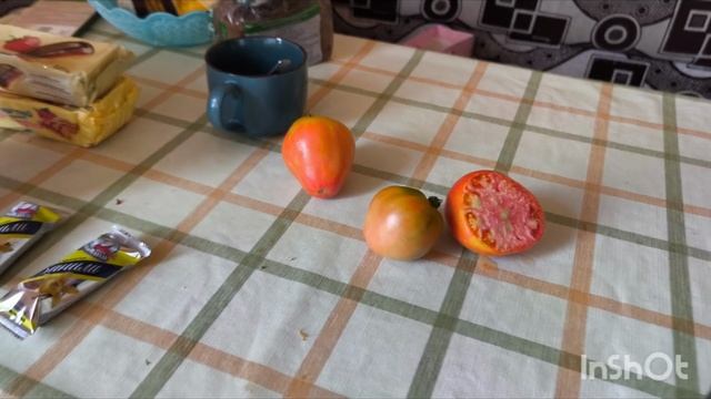 Пробую первый урожай 🍅 смотреть онлайн