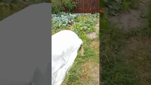 Александр Модный. 
2.(серия)