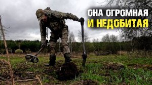 Огромная заброшенная деревня дала находки