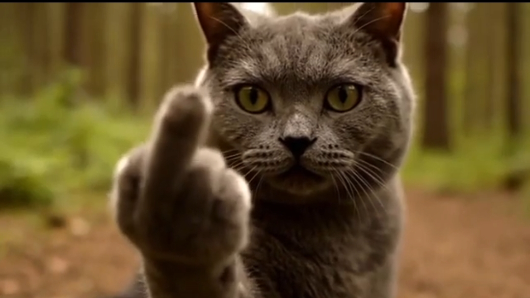 Угарные бабки ИИ