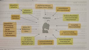 Запор. Профилактика запоров.