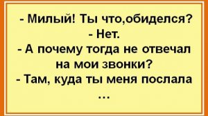 Анекдоты дня: лучшие смешные истории, которые заставят вас смеяться! Юмор! Улыбки! Хохма! Позитив!