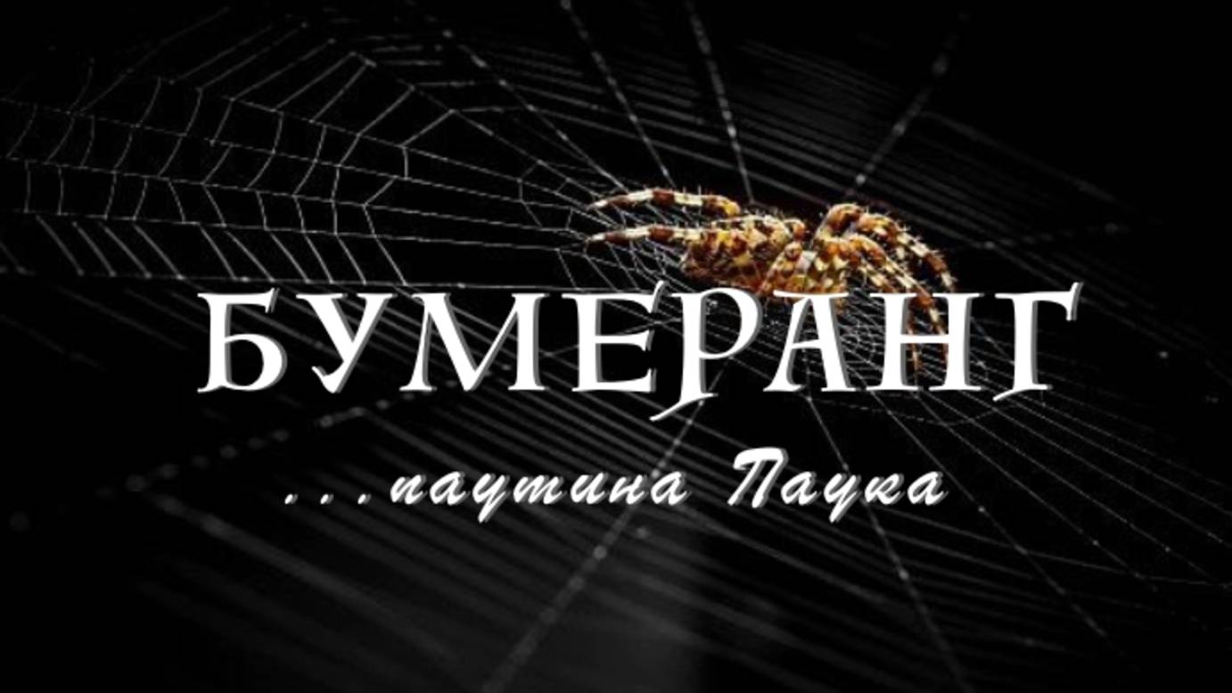 Паутина паука смотреть онлайн