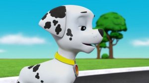 Щенячий патруль | Лучшее из 1-4 сезонов "Щенячьего патруля" 240 минут! | Nick Jr. Cyrillic