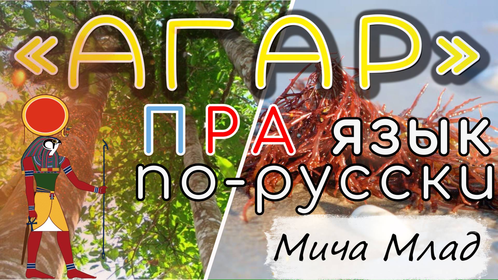 «АГАРОВОЕ дерево», «АГАР-АГАР» что означает? Этимология. РА лексика Праязык.