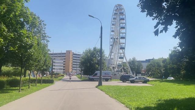 Прогулка по Зелёным Тропам Парка под Пение Птиц и Солнечный Свет