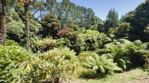 САДЫ БРИТАНИИ. ЗАТЕРЯННЫЕ САДЫ  ХЕЛИГАНА- ВИЗИТ В ВОЛШЕБНЫЕ САДЫ, ВНОВЬ ОТКРЫТЫЕ. Корнуолл.