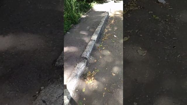 Состояние асфальта во дворе 27 июля 2025