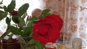 ПРИЕХАЛИ ДОМОЙ , СУВЕНИРЫ ИЗ БАШКИРИИ.